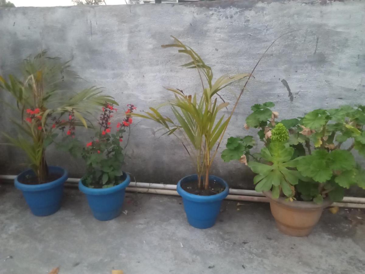 אלמורה Evergreen Home Stay מראה חיצוני תמונה